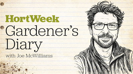 Gardener’s Diary: Finding ways to deal with unwanted return visitors